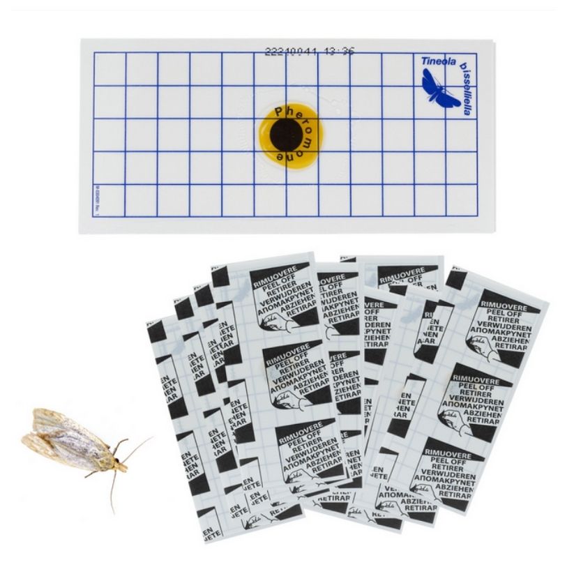 10 plaques de piège mite geopad blue Textile