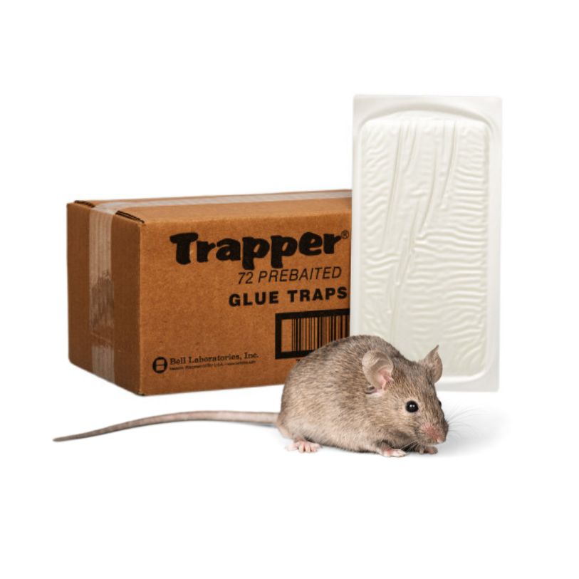 Plaque Glue Trapper LTD