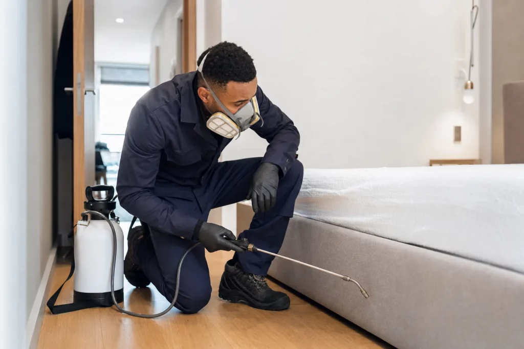 Solution professionnelle de désinsectisation contre les punaises de lit