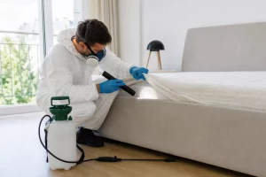 Techniciens en intervention rapide contre punaises de lit en Seine-Saint-Denis