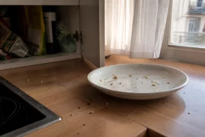 Infestation de cafards dans une cuisine parisienne professionnelle