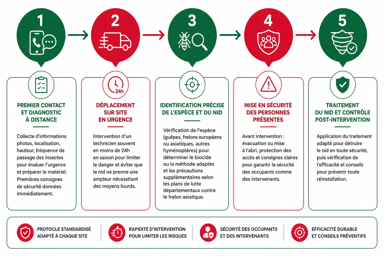 Traitement d’un nid de guêpes, pourquoi l’intervention rapide change tout , Processus d’intervention professionnelle: l’exemple Alpha Nuisibles